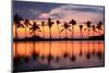 Paradise Beach Sunset or Sunrise with Tropical Palm Trees. Summer Travel Holidays Vacation Getaway-Maridav-Mounted Photographic Print