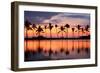 Paradise Beach Sunset or Sunrise with Tropical Palm Trees. Summer Travel Holidays Vacation Getaway-Maridav-Framed Photographic Print