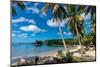Paradise, Beautiful Sand Beach in Madagascar, Ile Saint Marie. Island-mirecca-Mounted Photographic Print