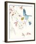 Paradise Bird - Soar-Kristine Hegre-Framed Giclee Print