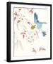 Paradise Bird - Soar-Kristine Hegre-Framed Giclee Print