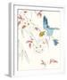 Paradise Bird - Soar-Kristine Hegre-Framed Giclee Print