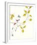 Paradise Bird - Stay-Kristine Hegre-Framed Giclee Print