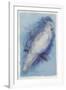 Paradise Blue I-Maria Mendez-Framed Giclee Print