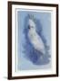 Paradise Blue II-Maria Mendez-Framed Giclee Print