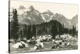 Paradise Camp, Rainier National Park-null-Stretched Canvas
