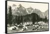 Paradise Camp, Rainier National Park-null-Framed Stretched Canvas