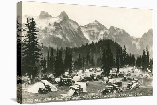 Paradise Camp, Rainier National Park-null-Stretched Canvas