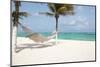 Paradise Caribbean Beach in Mexico-cristovao-Mounted Photographic Print