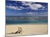 Paradise Cove Beach, Aitutaki, Cook Islands, South Pacific Ocean, Pacific-Jochen Schlenker-Mounted Photographic Print