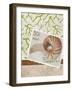 Paradise Cove-Elizabeth Medley-Framed Premium Giclee Print