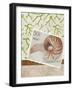 Paradise Cove-Elizabeth Medley-Framed Premium Giclee Print