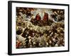 Paradise (Detail)-Jacopo Robusti Tintoretto-Framed Giclee Print