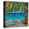 Paradise Found-null-Stretched Canvas