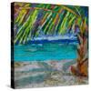 Paradise Found-null-Stretched Canvas