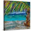 Paradise Found-null-Stretched Canvas