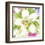 Paradise Garden I-Sandra Jacobs-Framed Giclee Print