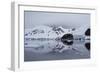 Paradise Harbour, Antarctica-Albert Knapp-Framed Photographic Print