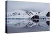 Paradise Harbour, Antarctica-Albert Knapp-Stretched Canvas