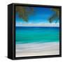 Paradise I-Jennifer Bailey-Framed Stretched Canvas