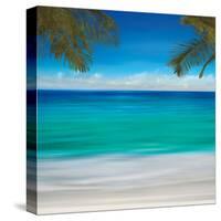 Paradise I-Jennifer Bailey-Stretched Canvas