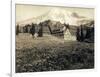 Paradise Inn and Mount Rainier, 1916-Asahel Curtis-Framed Giclee Print