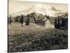 Paradise Inn and Mount Rainier, 1916-Asahel Curtis-Stretched Canvas
