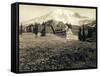 Paradise Inn and Mount Rainier, 1916-Asahel Curtis-Framed Stretched Canvas