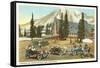 Paradise Inn, Rainier National Park, Washington-null-Framed Stretched Canvas