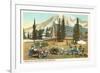 Paradise Inn, Rainier National Park, Washington-null-Framed Art Print