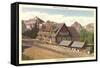 Paradise Inn, Rainier National Park-null-Framed Stretched Canvas