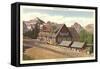 Paradise Inn, Rainier National Park-null-Framed Stretched Canvas