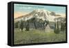 Paradise Inn, Rainier National Park-null-Framed Stretched Canvas