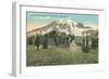 Paradise Inn, Rainier National Park-null-Framed Art Print