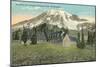 Paradise Inn, Rainier National Park-null-Mounted Art Print