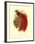 Paradise Intermedia-null-Framed Art Print