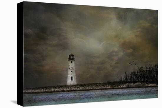 Paradise Island Lighthouse-Barbara Simmons-Stretched Canvas