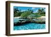 Paradise Island-null-Framed Art Print