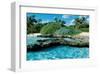 Paradise Island-null-Framed Art Print