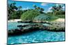 Paradise Island-null-Mounted Art Print