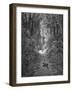 Paradise Lost, by Milton: The serpent approaches-Gustave Dore-Framed Giclee Print