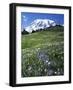 Paradise Meadows, Mt. Rainier National Park, Washington, USA-Charles Gurche-Framed Photographic Print