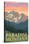 Paradise, Montana - Spring Flowers-Lantern Press-Stretched Canvas