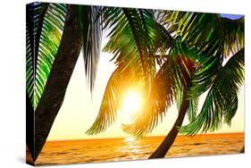 Paradise on Hawaii Island with Awesome Skyscape-Satori1312-Stretched Canvas