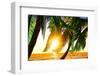 Paradise on Hawaii Island with Awesome Skyscape-Satori1312-Framed Photographic Print