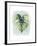 Paradise Palm Leaves I-Grace Popp-Framed Art Print