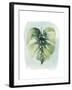 Paradise Palm Leaves I-Grace Popp-Framed Art Print