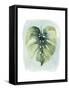 Paradise Palm Leaves I-Grace Popp-Framed Stretched Canvas