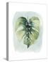 Paradise Palm Leaves I-Grace Popp-Stretched Canvas