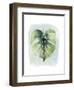 Paradise Palm Leaves I-Grace Popp-Framed Art Print